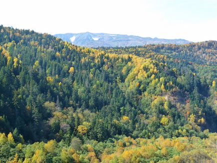 山又山.jpg