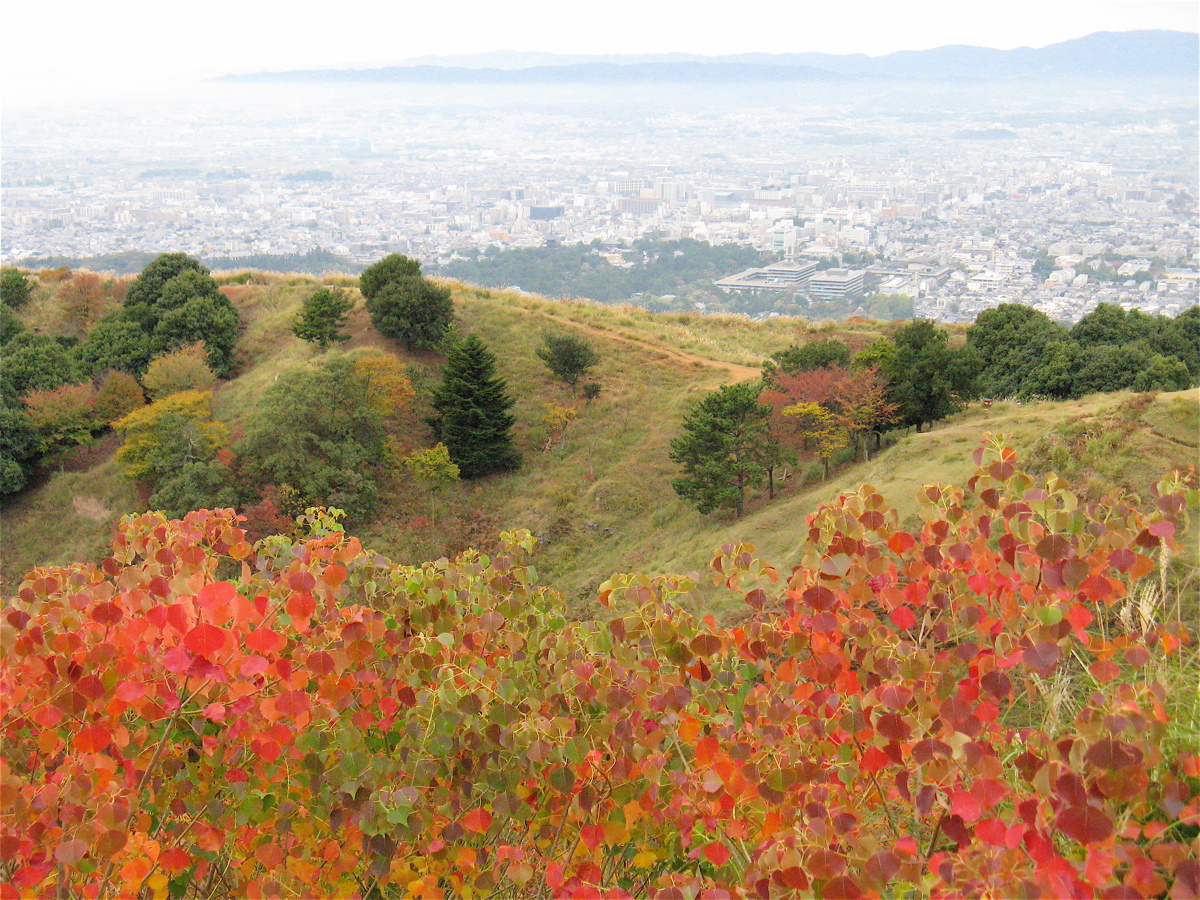 217 若草山 気ままな いい旅 ネット 第三部